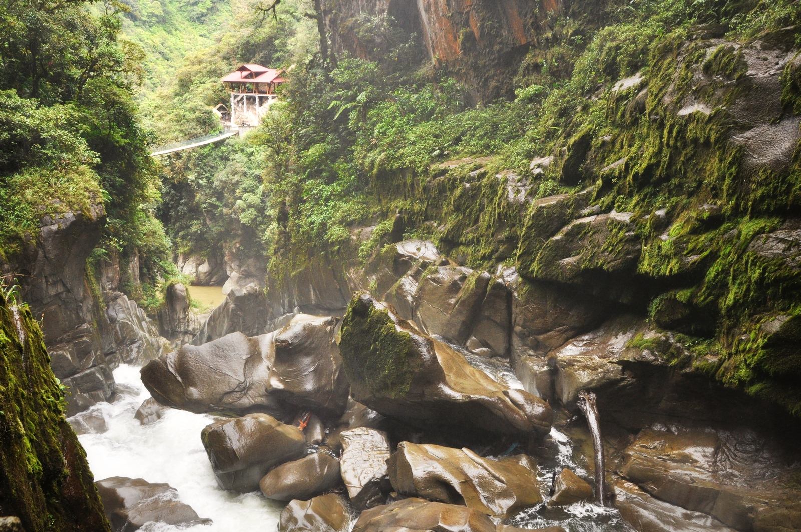 Pailon del Diablo et végétation Pailon del Diablo et végétation