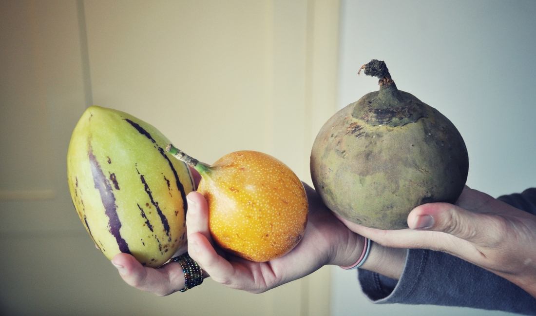 Fruits exotiques, Equateur