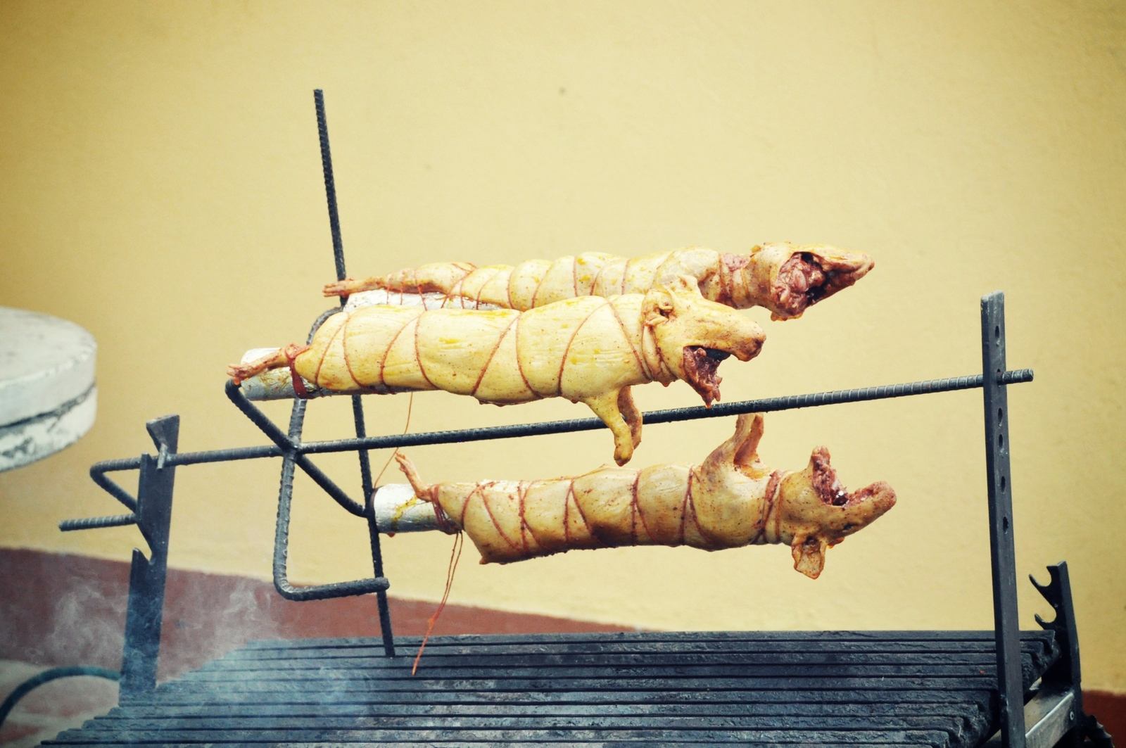 Cuy, spécialité d'Equateur