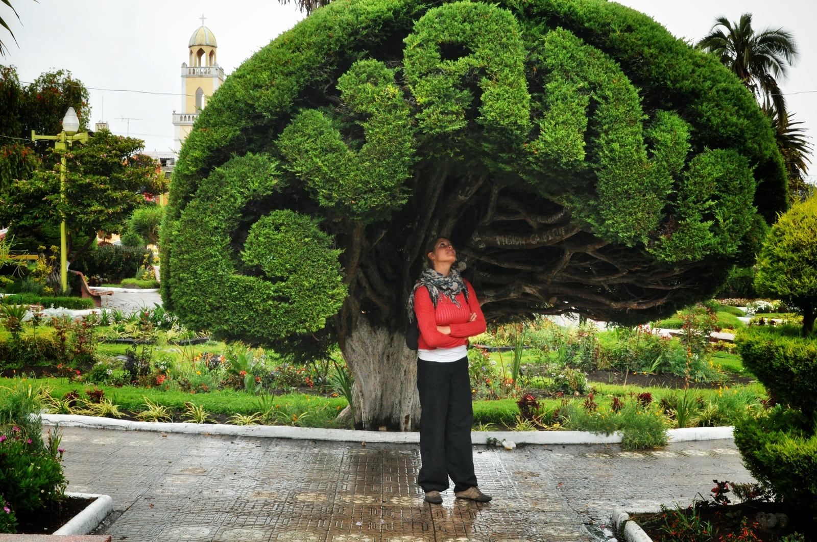 Balade à Guano, Equateur