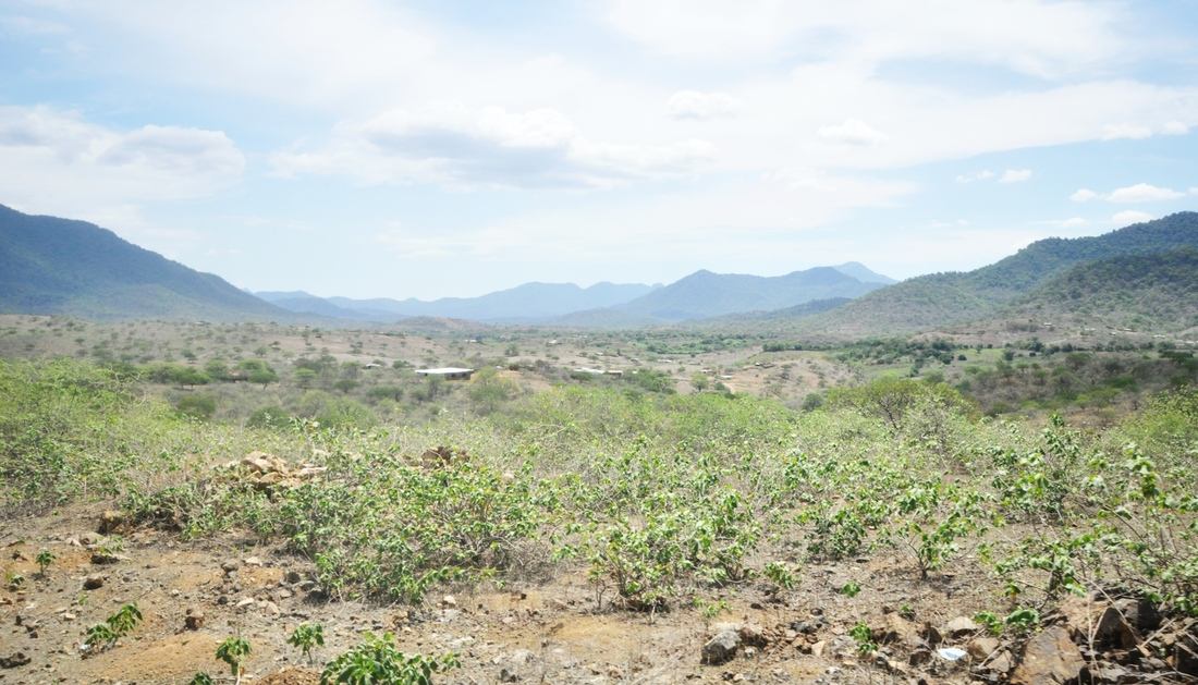 Paysages changeants de l'Equateur au Pérou