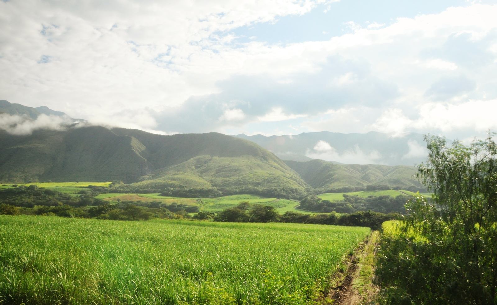 Nuages sur la route, Ecuador