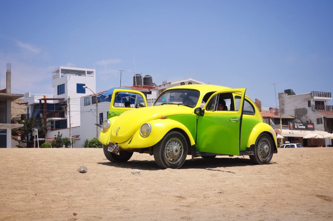 La coccinelle au Pérou