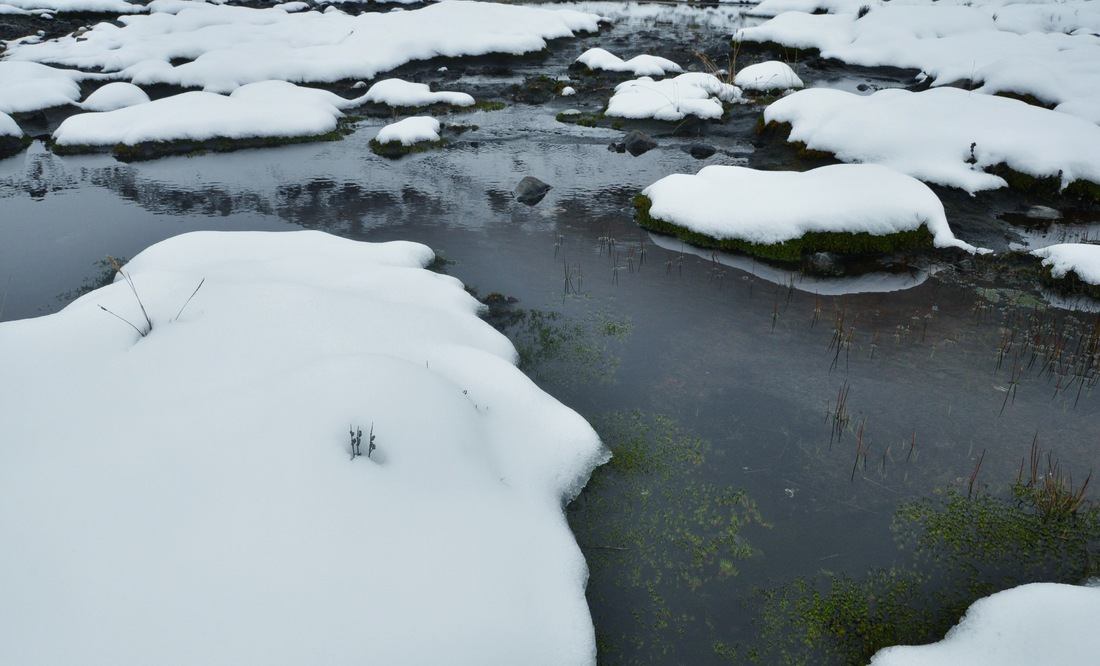 Neige à la Cordillère blanche