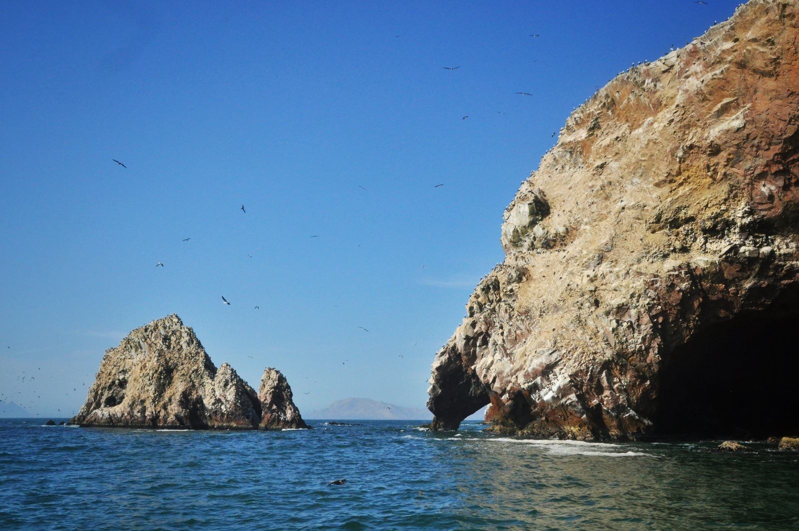 Centaines d'oiseaux aux Iles Ballestas