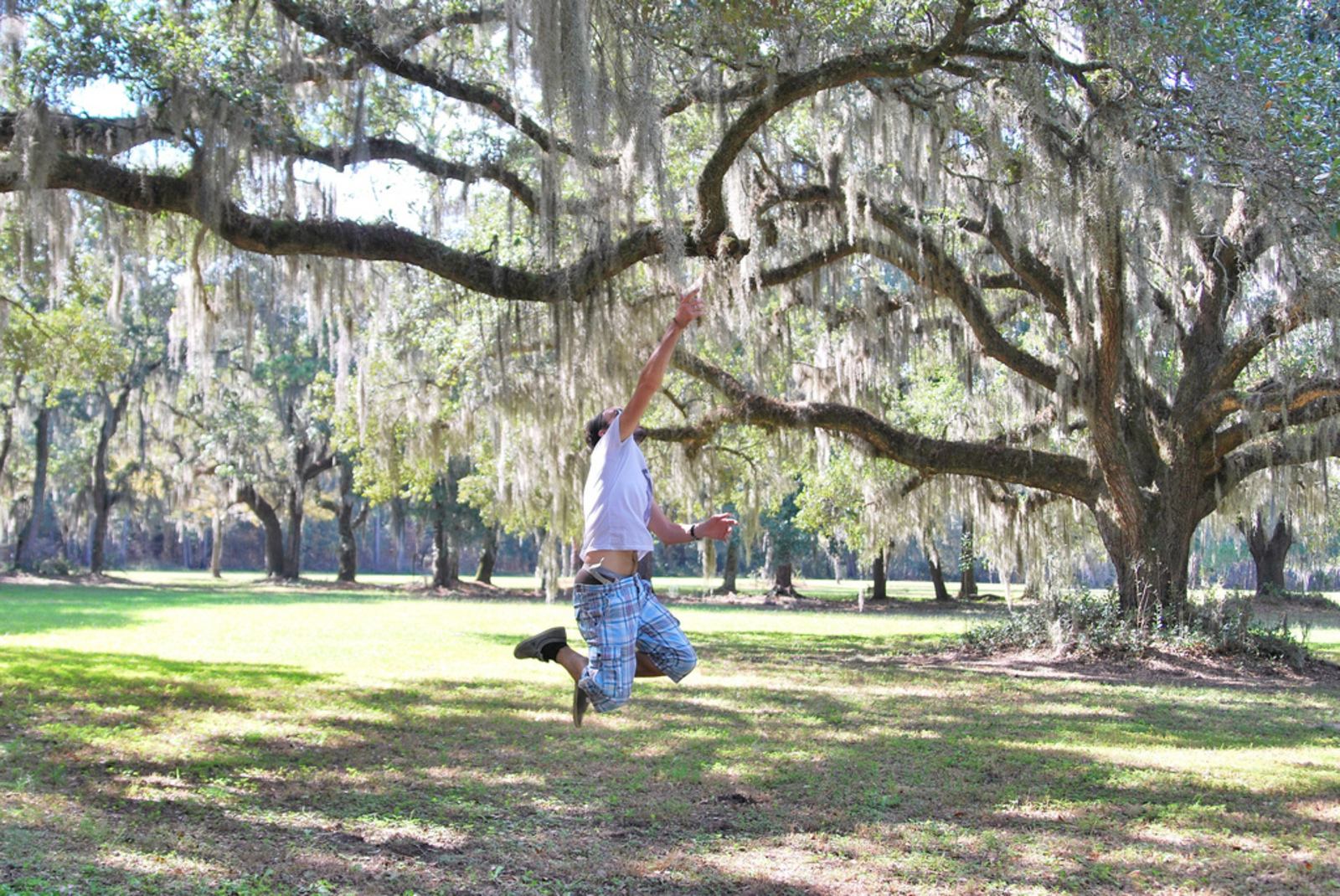 Mousse espagnole, Charleston