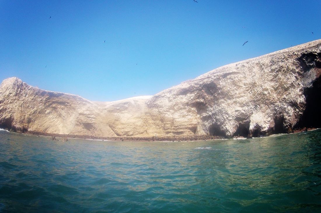 Baie des lions de mer, Iles Ballestas