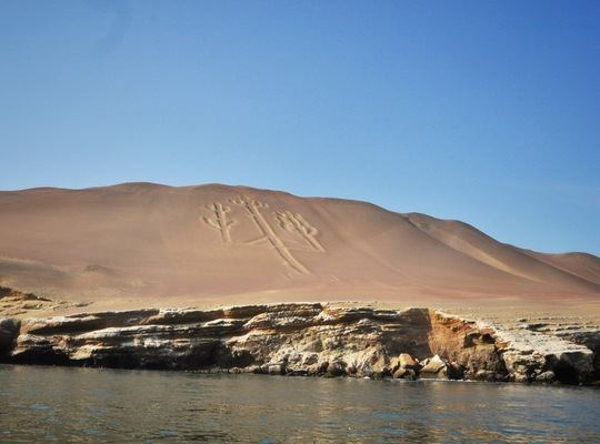 Vie animale sur les îles Ballestas à Paracas