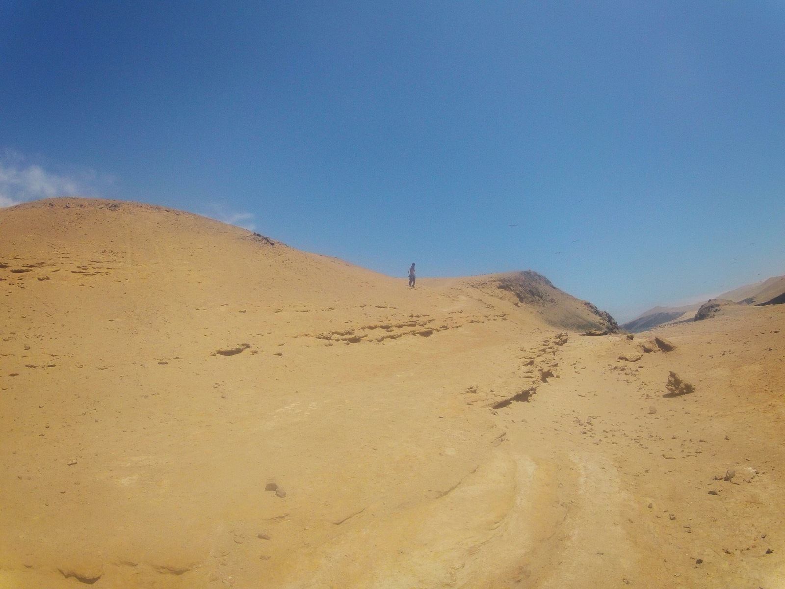 Seul dans le desert de Paracas