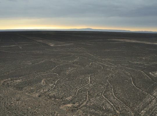 Les lignes de Nazca 