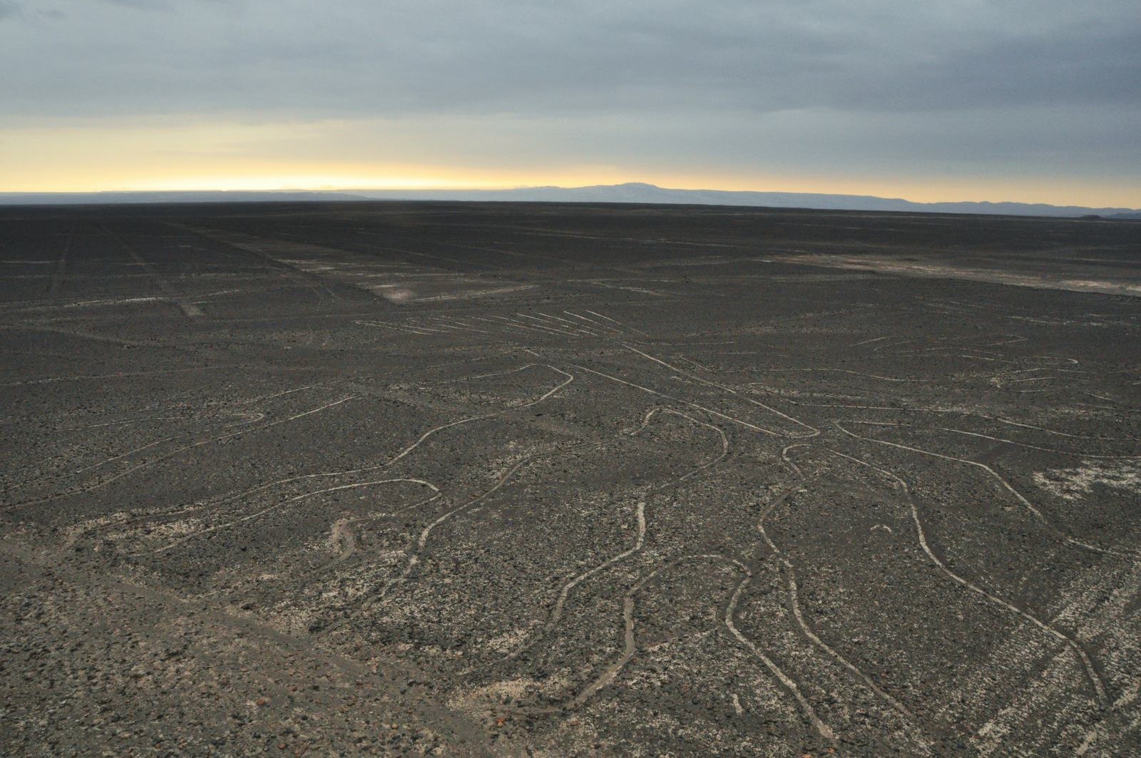 Oiseau, lignes de nazca