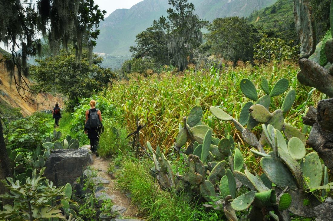 Arrivée à San Juan de Chucho