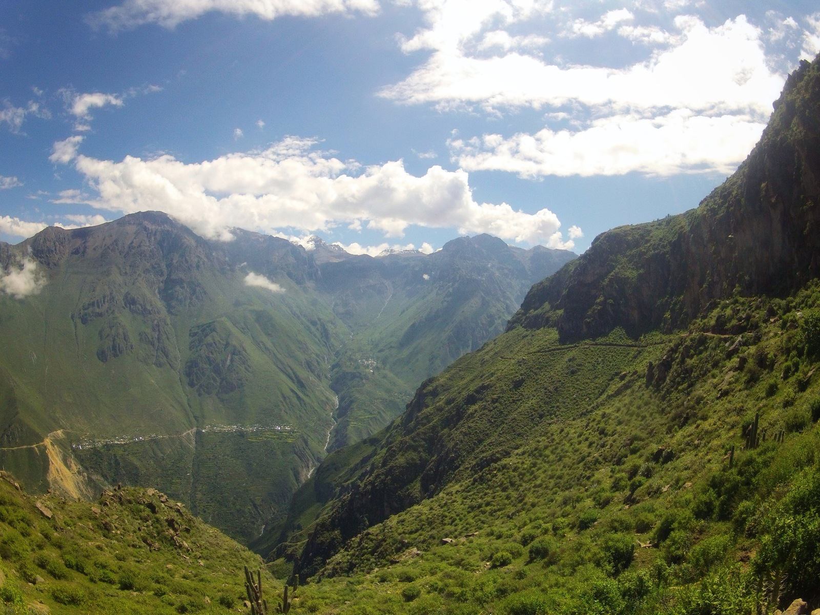 Vue sur le Colca Canyon