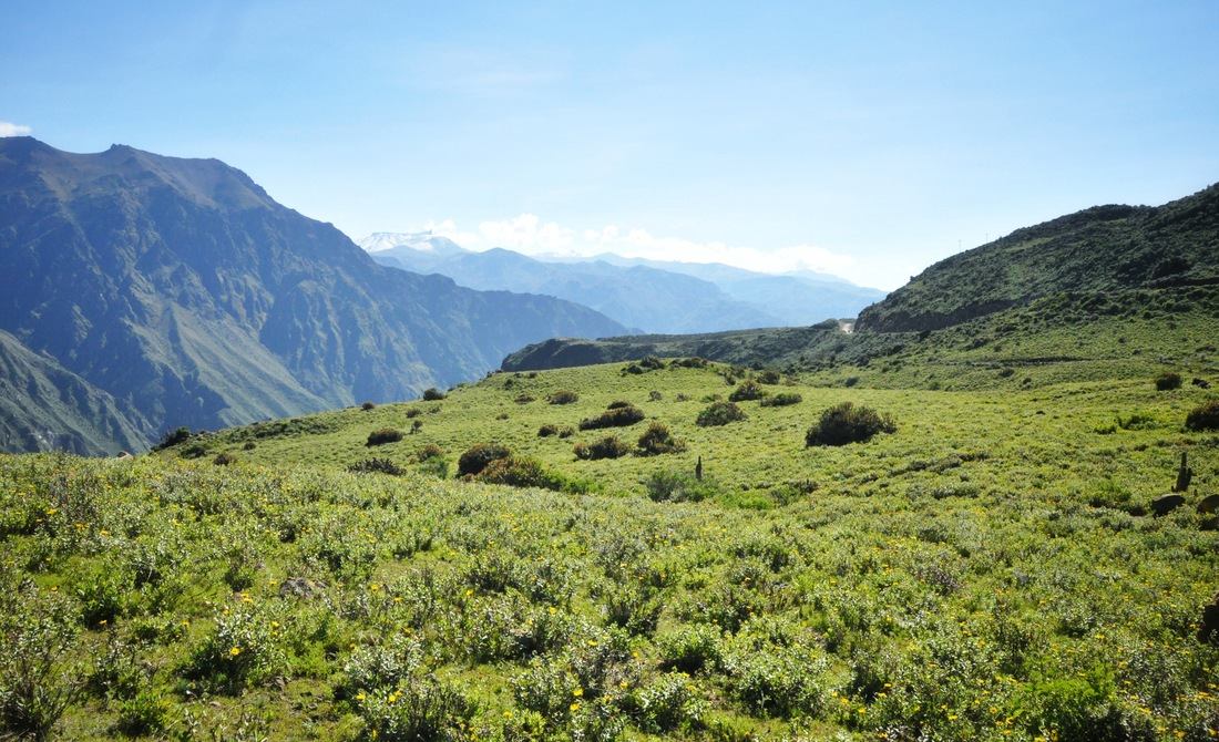 Haut du canyon de Colca