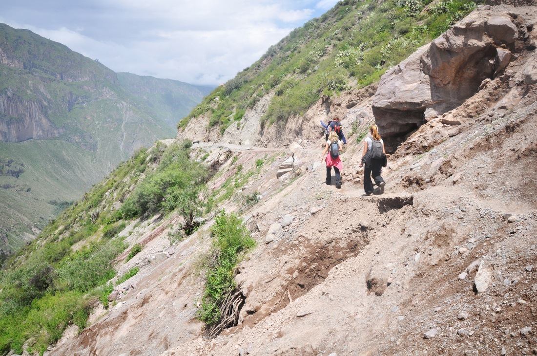 Trek au fond du canyon de colca