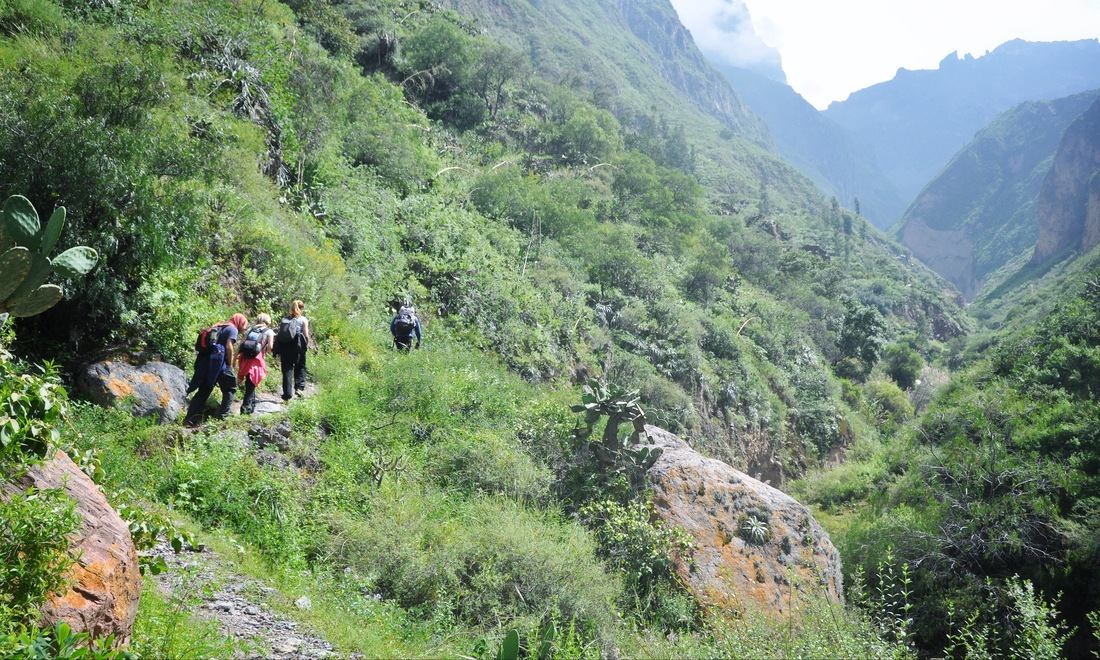 Longue marche in Colca Canyon