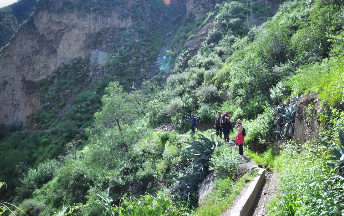 Trek dans le canyon de colca