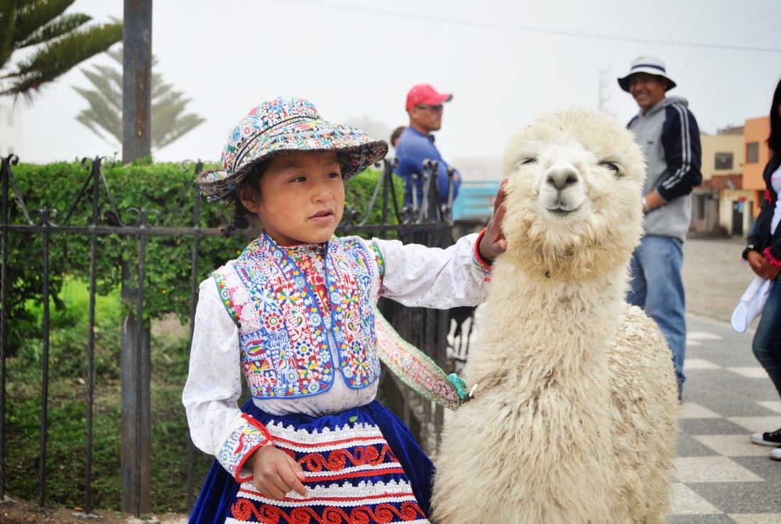 Bébé lama et péruvienne à Cabanaconde