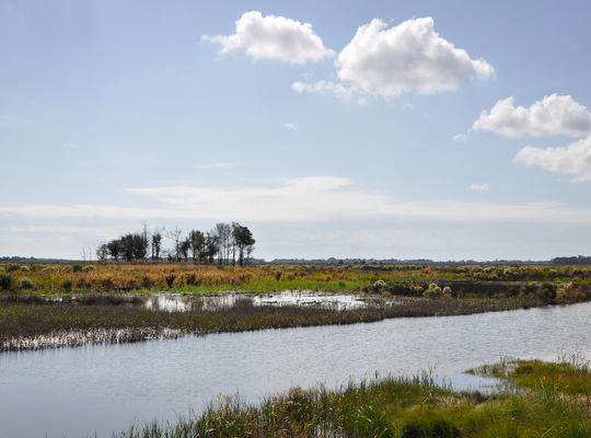 Charleston et le sud des USA