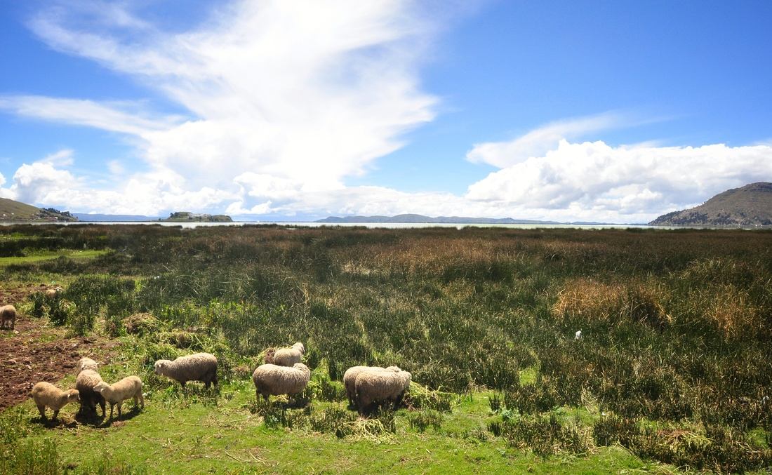 Lac titicaca du coté péruvien