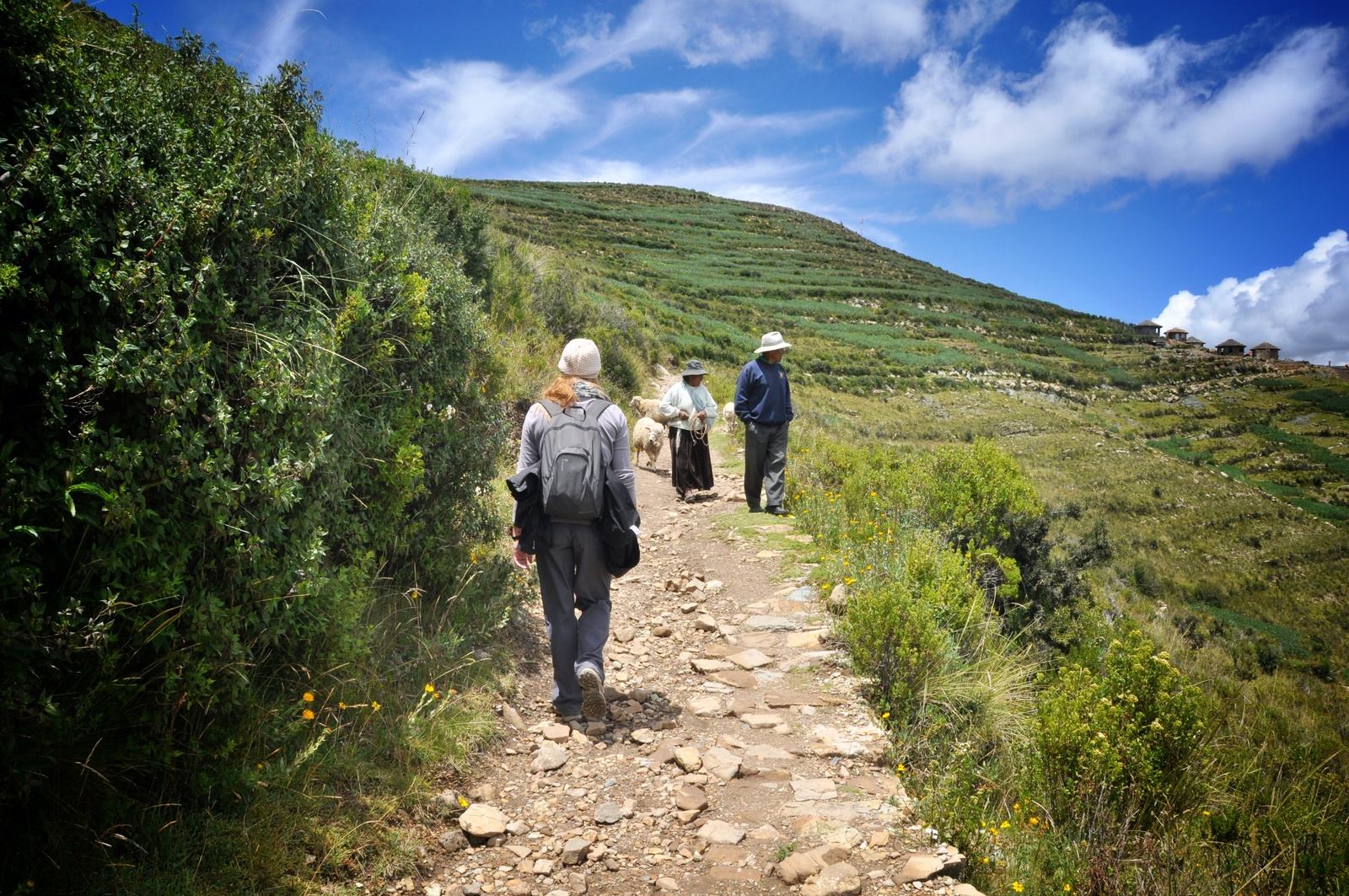 Habitants d'isla del sol Habitants d'isla del sol