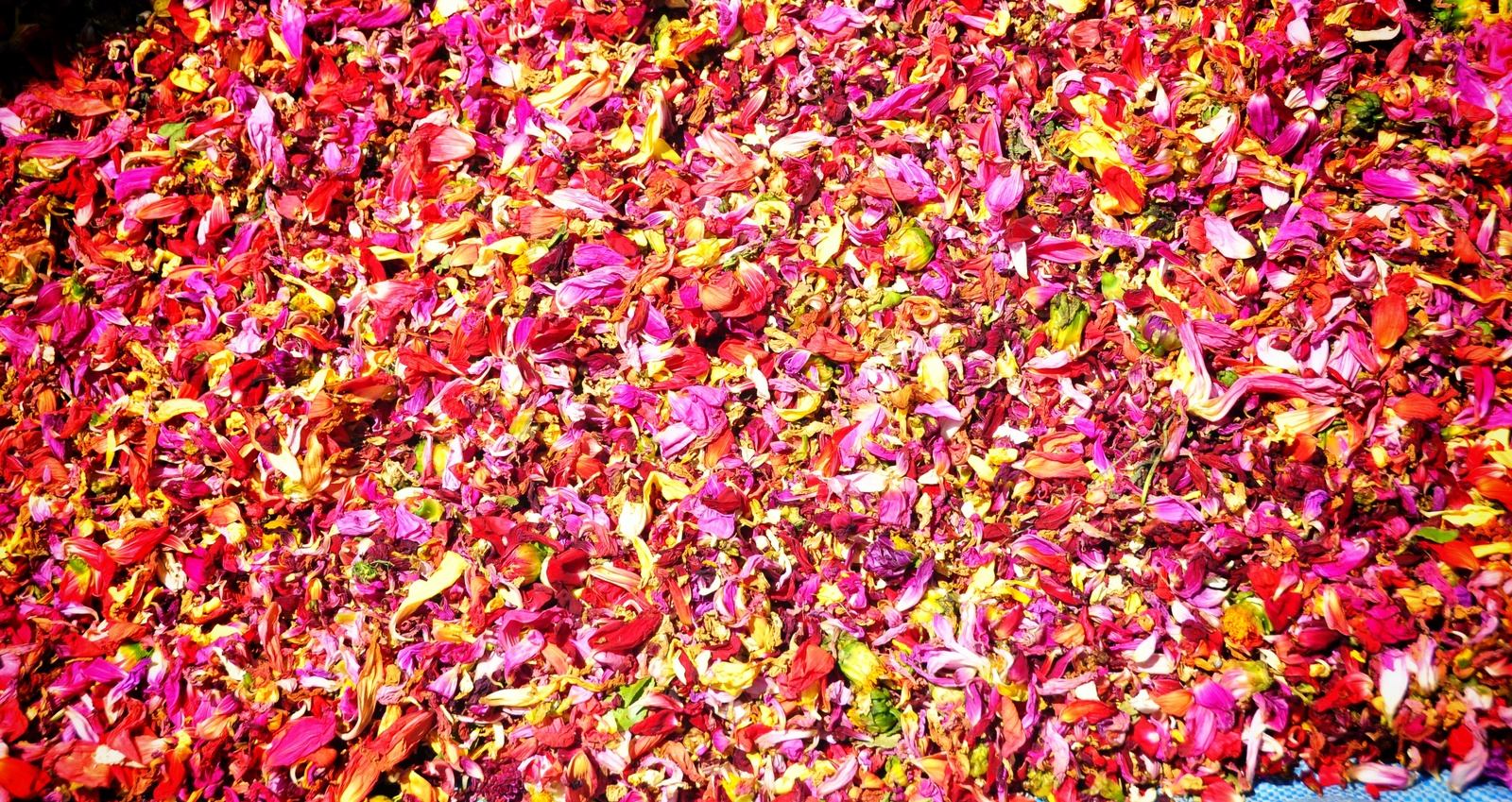 Etal de pétales de fleurs, La Paz