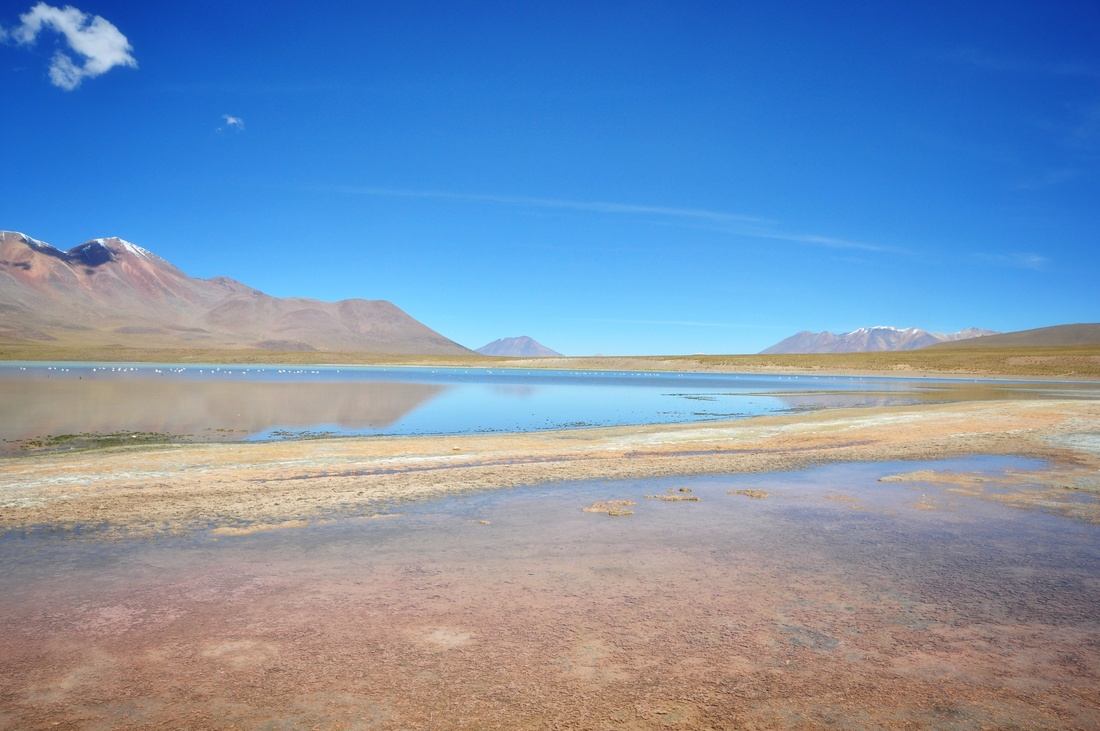 Laguna, Salar d'Uyuni