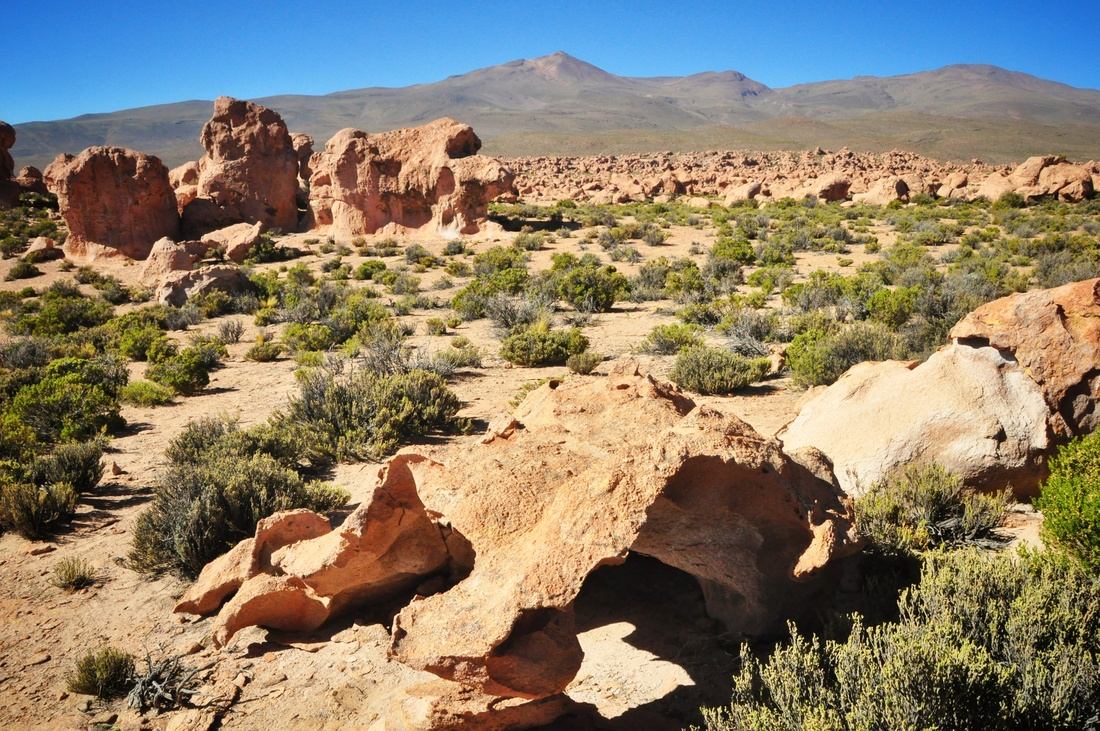 Panorama désert d'uyuni