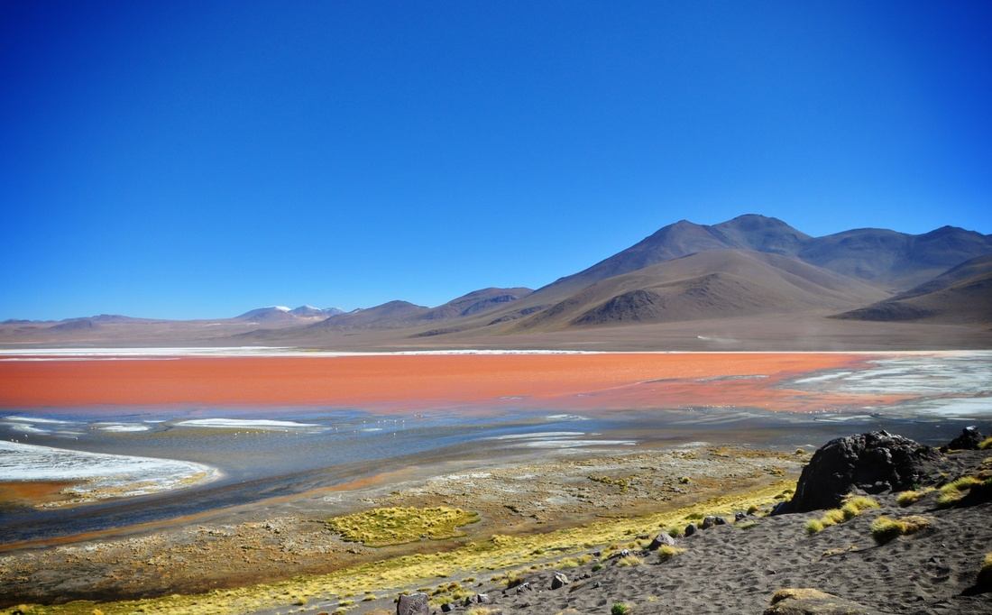 Vue sur le Laguna colorado à Uyuni