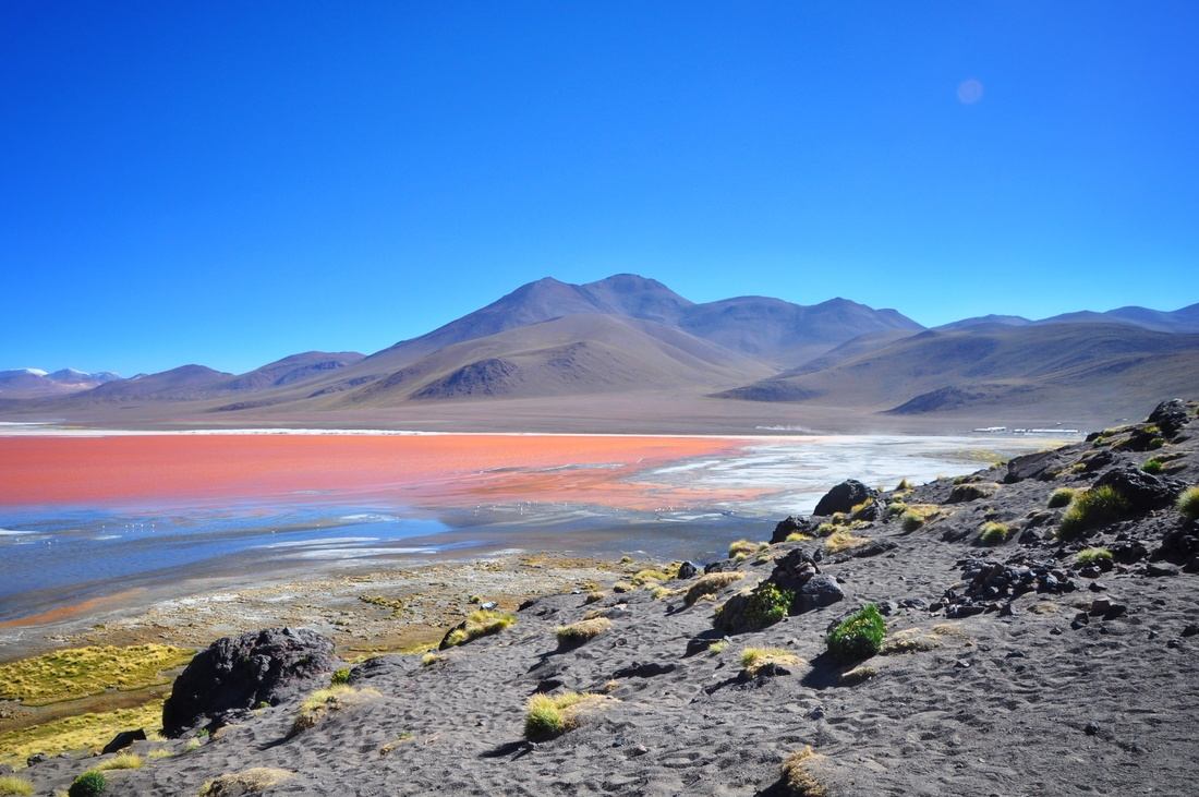 Laguna colorado à Uyuni