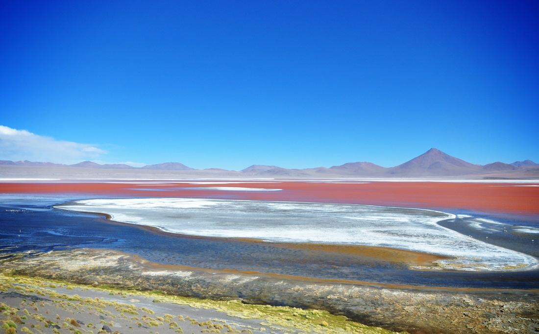 Laguna colorado dans le salar d'uyuni