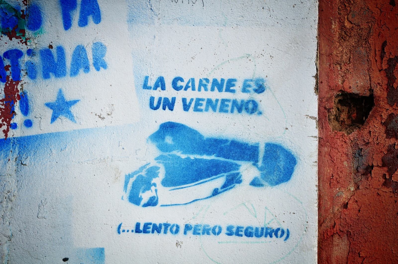 Carne es veneno
