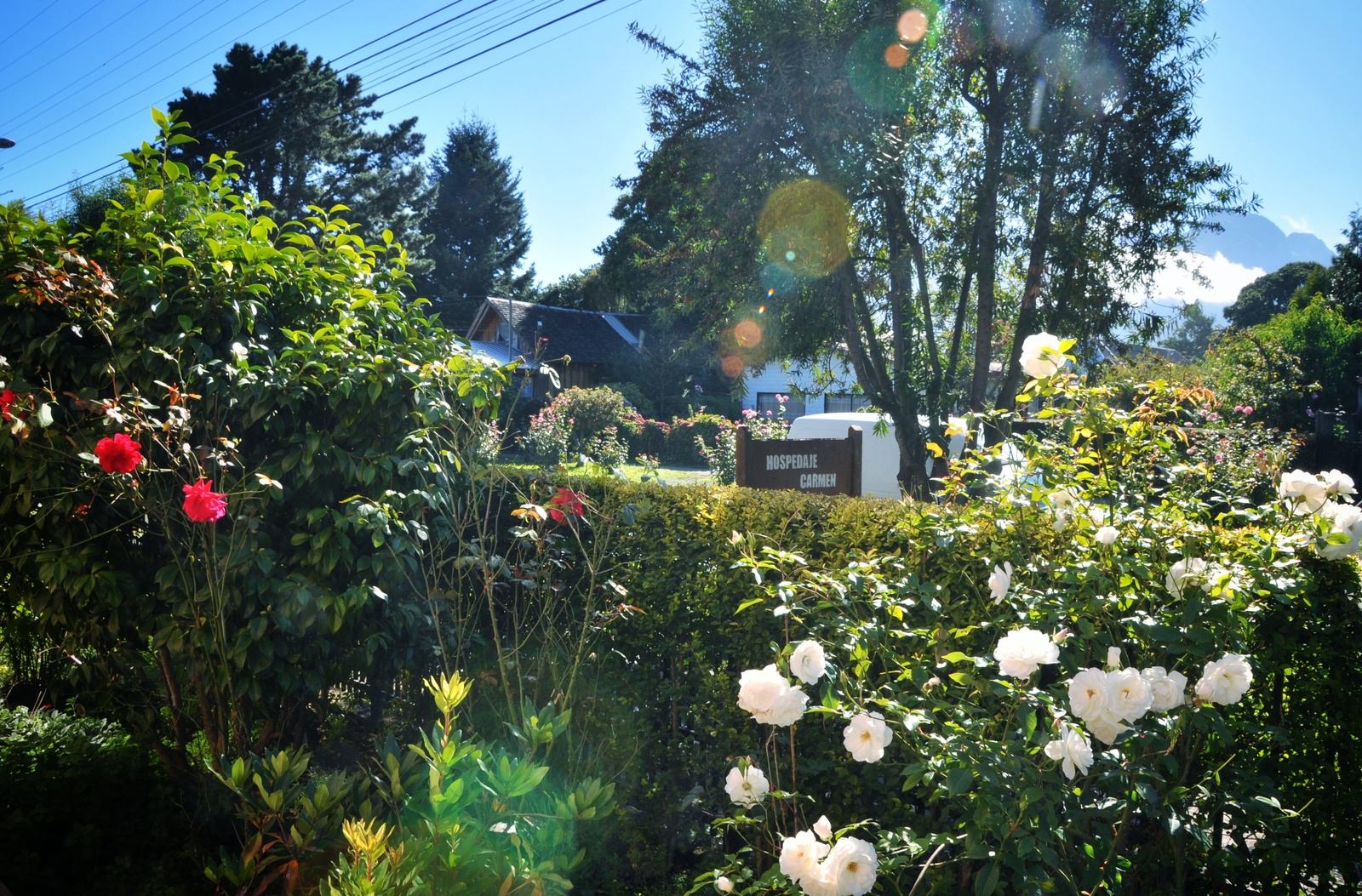 Chez Carmen, maison d'hôte à Pucon