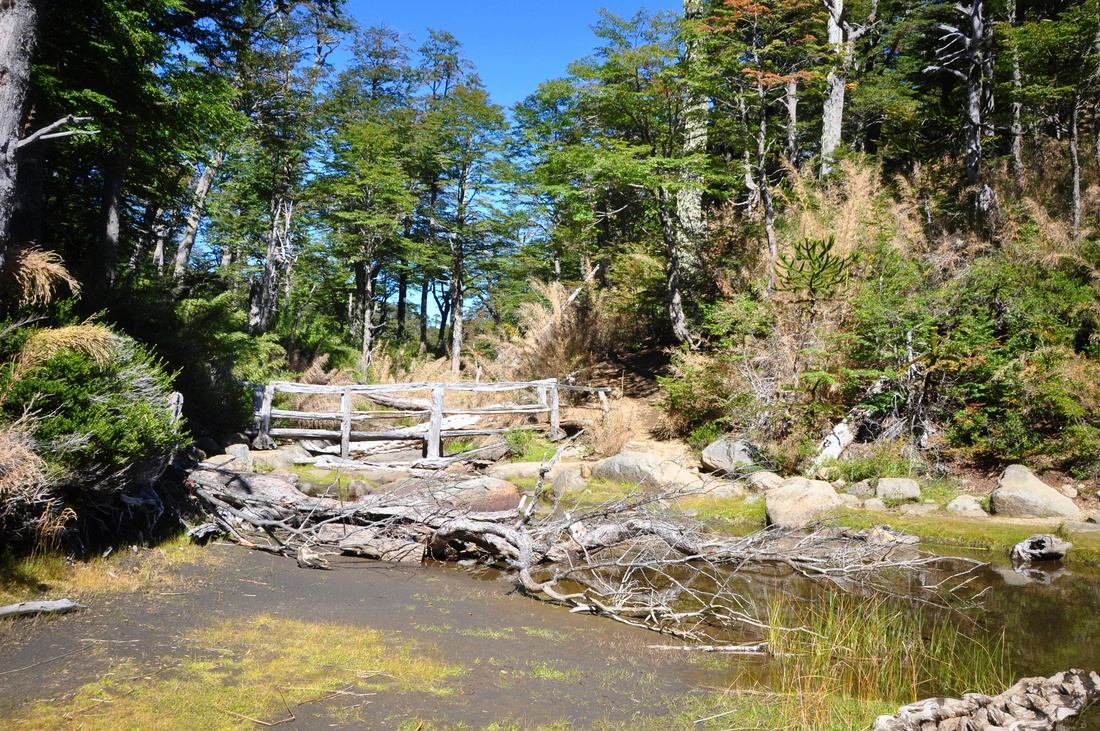 Petit pont au Parc de Huerquehue
