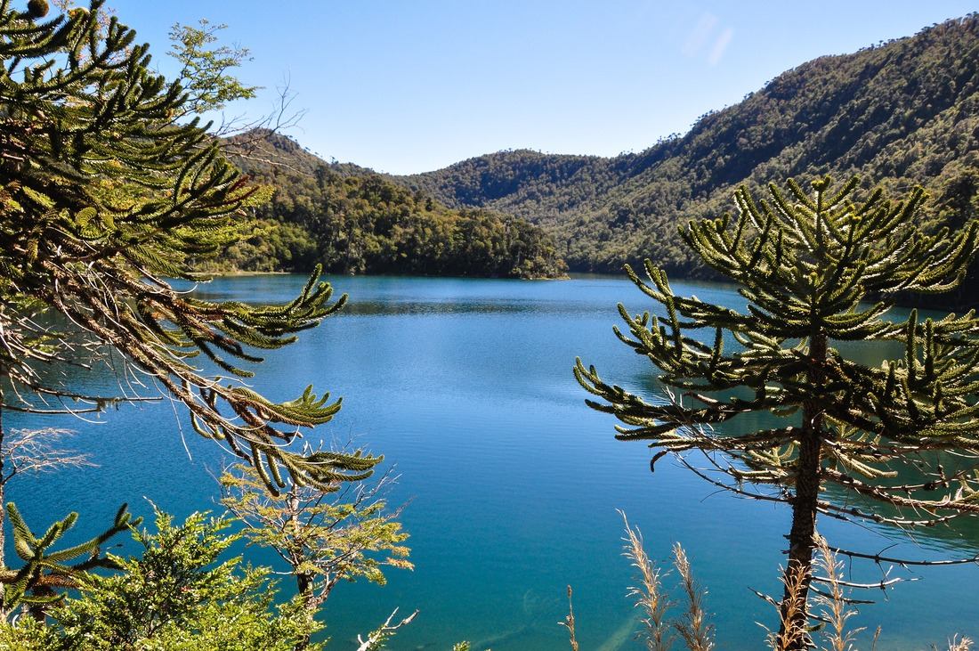 Lago verde, Parc de Huerquehue