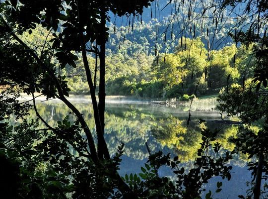 Parc national de Huerquehue, Pucon