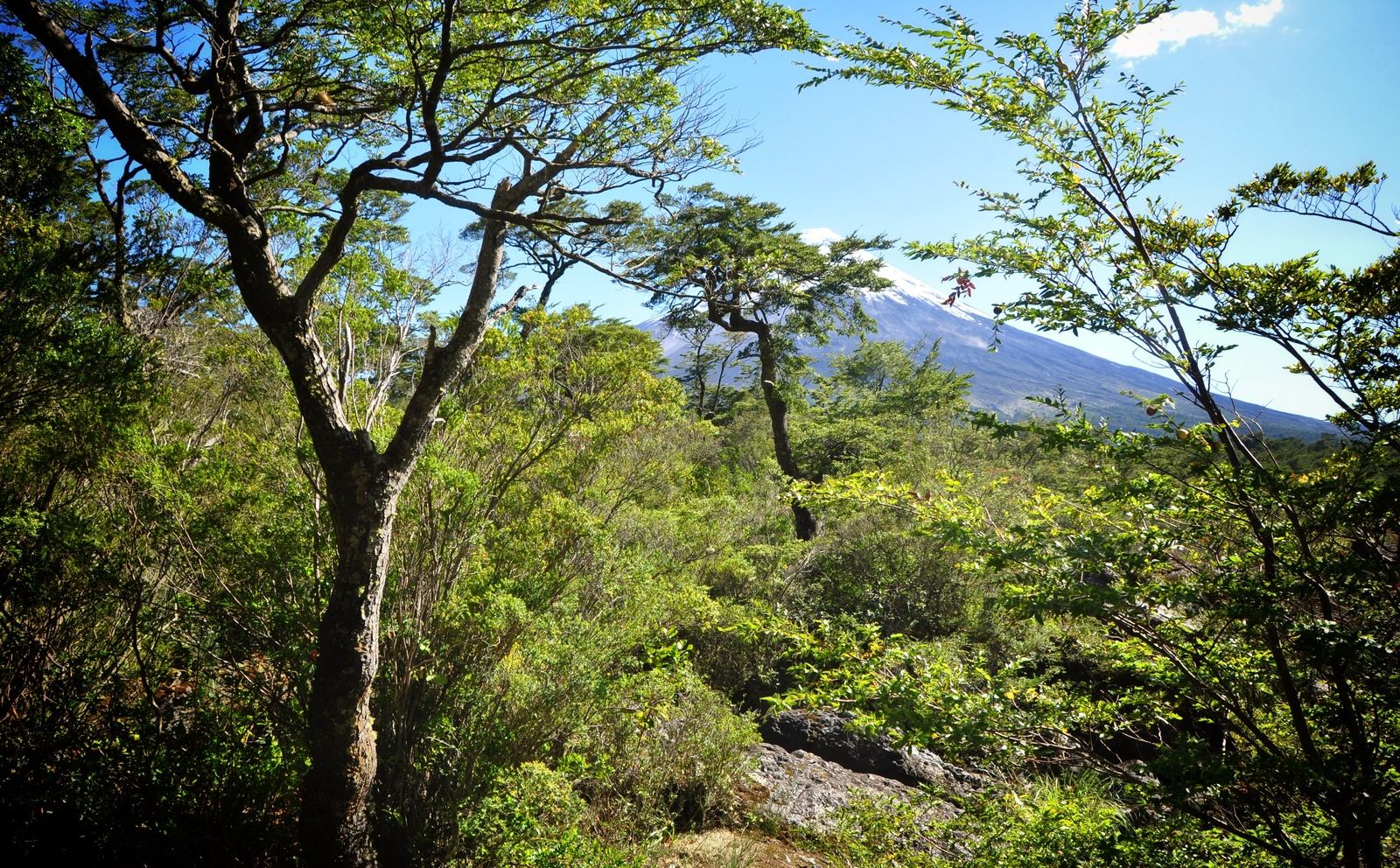 Vue sur le volcan, région des lacs au Chili