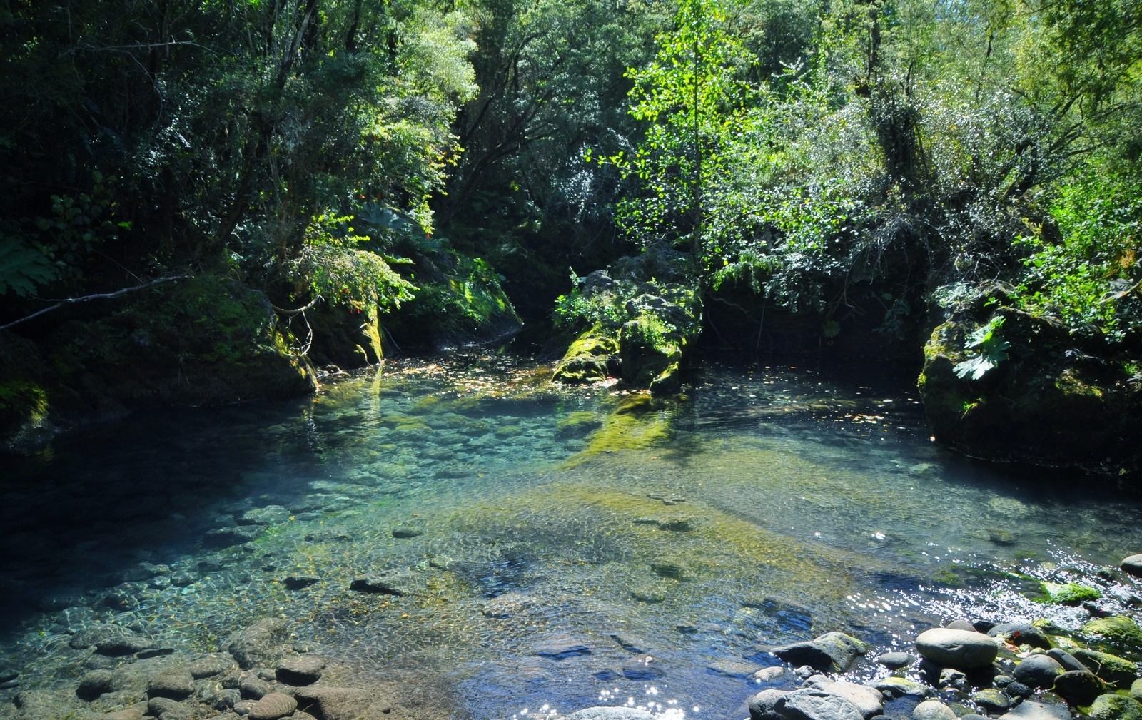 Rivière à Petrohue Rivière à Petrohue