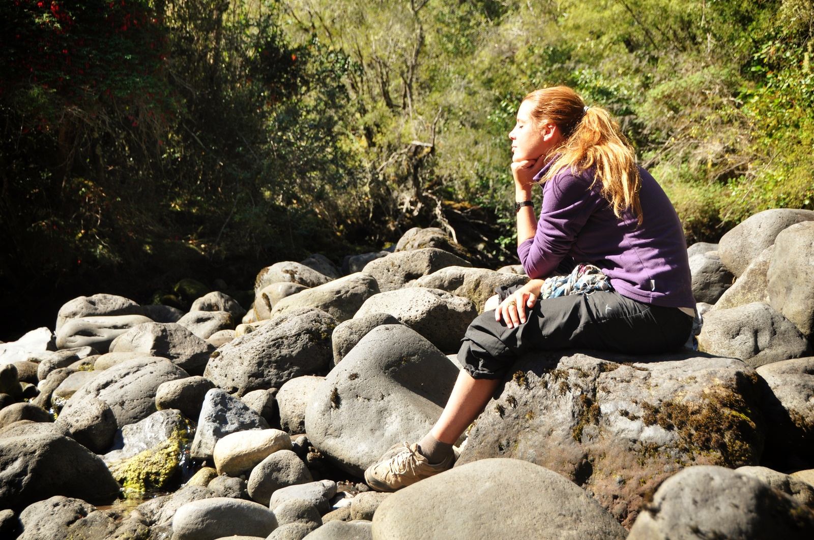 Profiter du soleil dans la foret de Petrohue