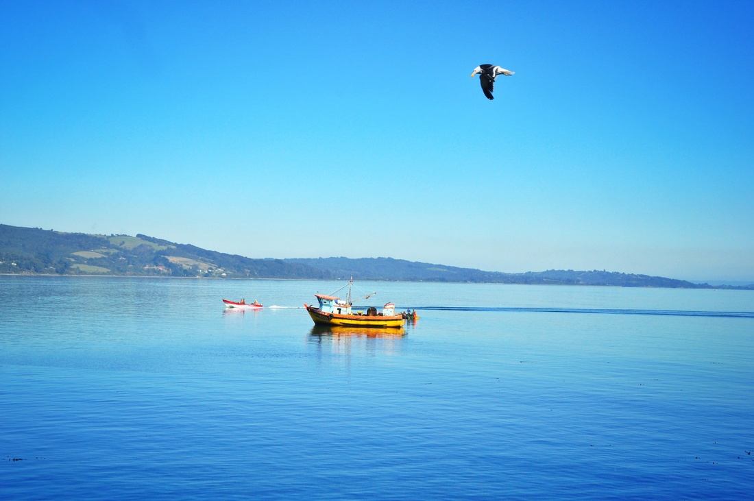 Vue de la mer depuis Ancud, Chiloe