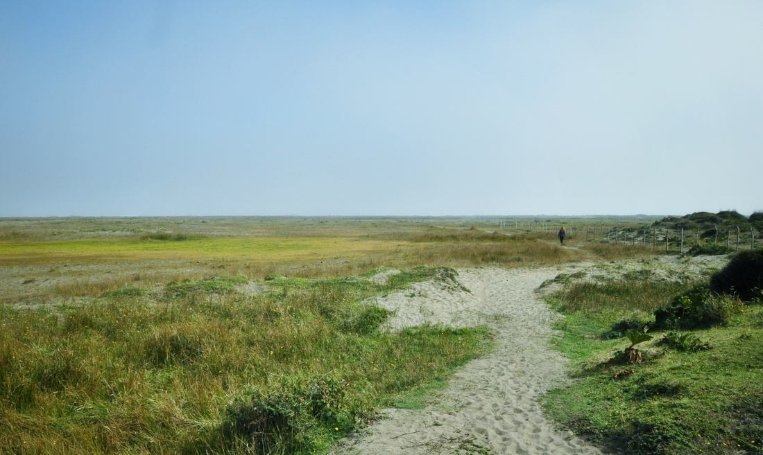 Chemin vers la plage, Parc national de Chiloe