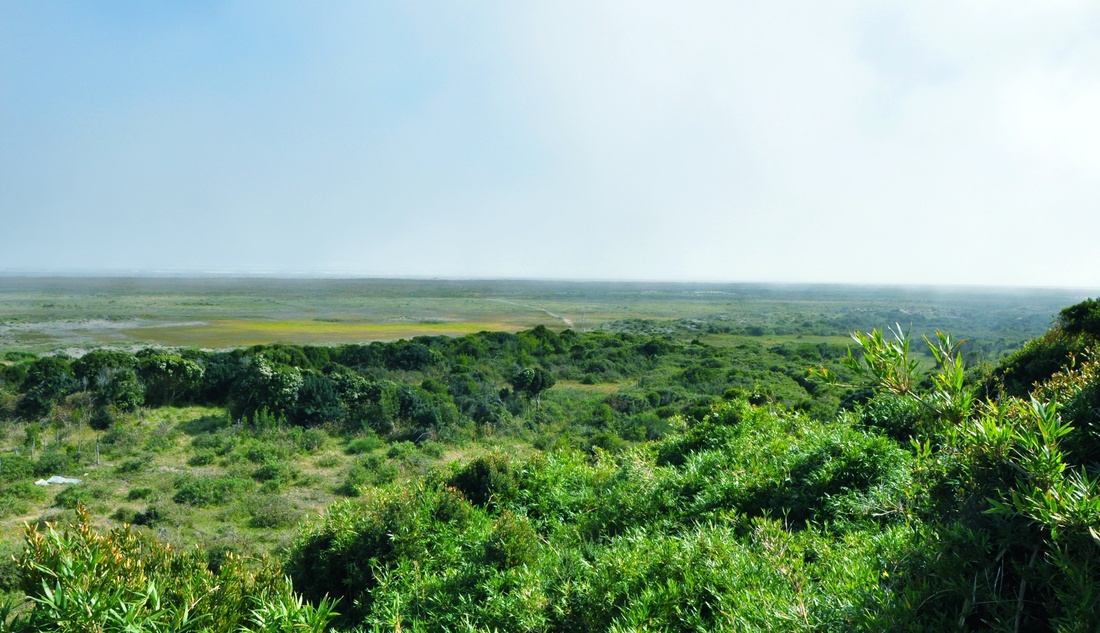 Panorama du Parc national de Chiloe