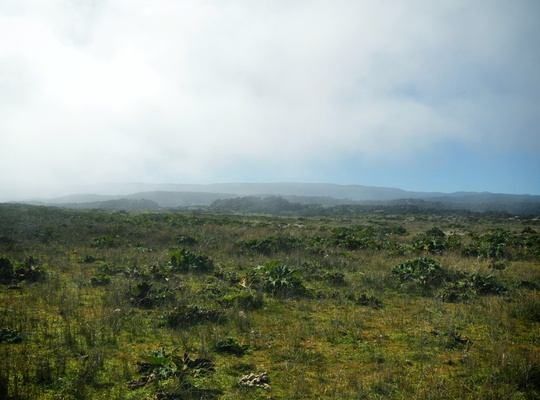 Parc naturel de Chiloe