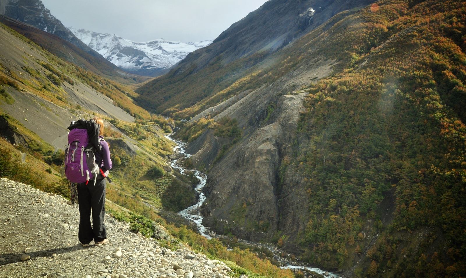 Sur le chemin du trek W, Torres del Paine Sur le chemin du trek W, Torres del Paine