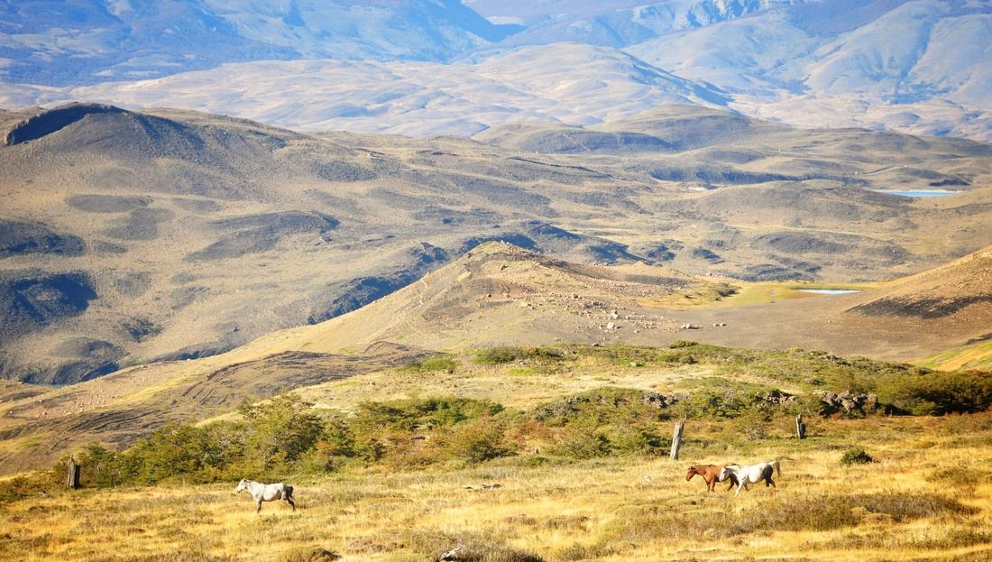 Paysage de patagonie, Torres del Paine