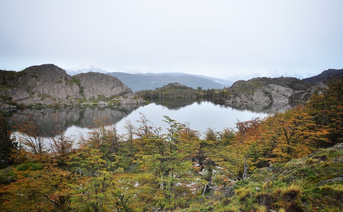 Reflets dans le lac, Torres del Paine