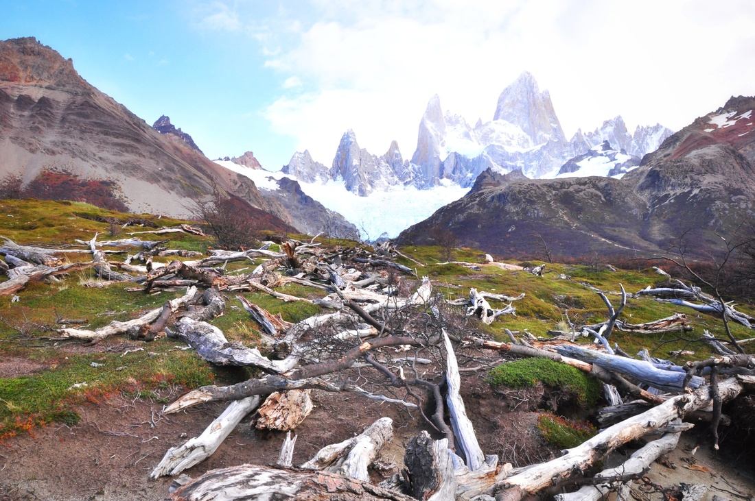 Arbres morts, Fitz Roy