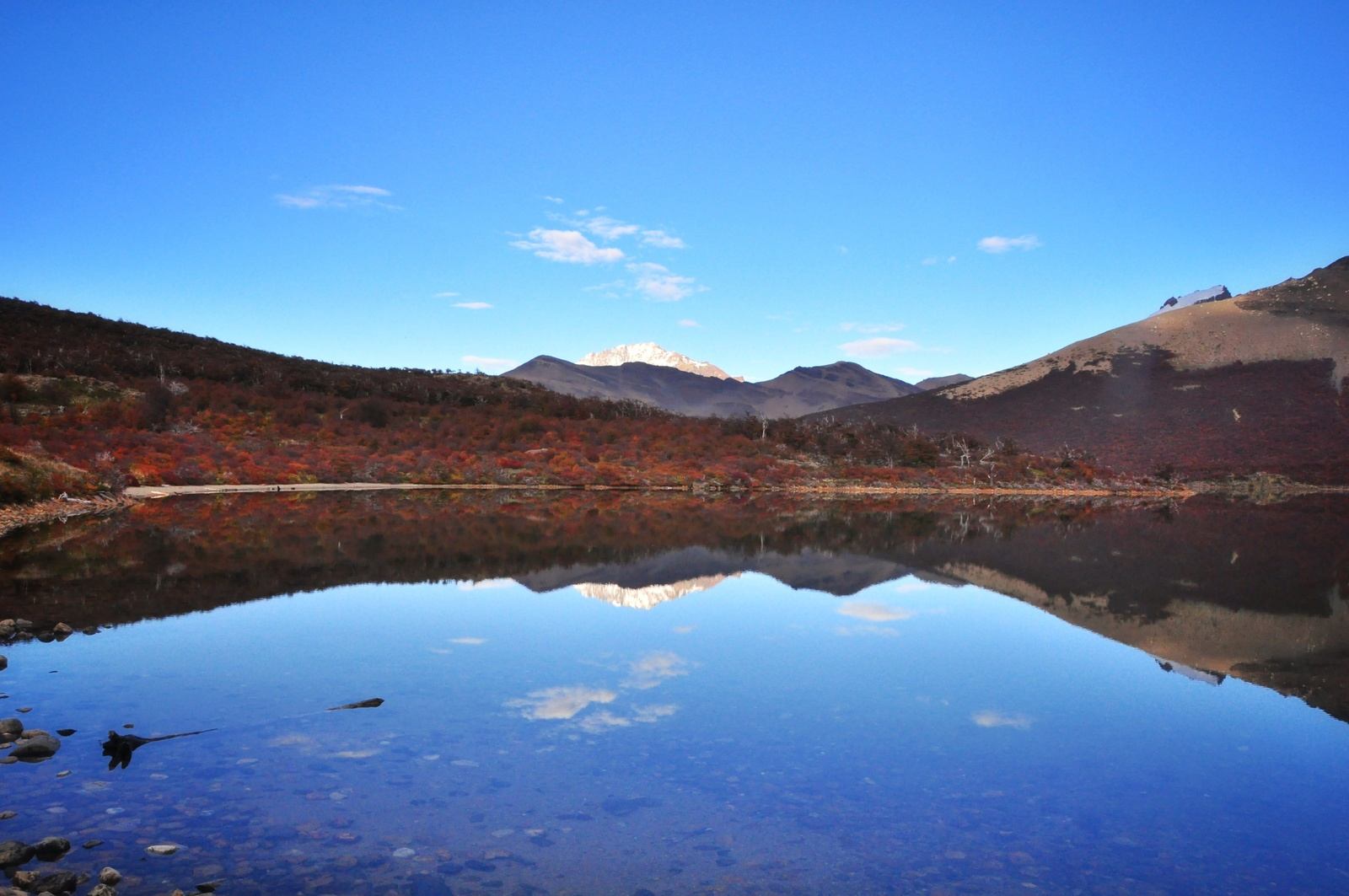 Laguna et reflets, Fitz Roy