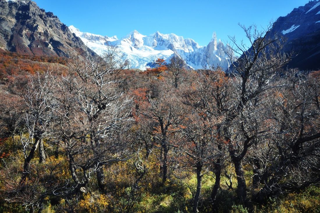 En direction du Fitz Roy