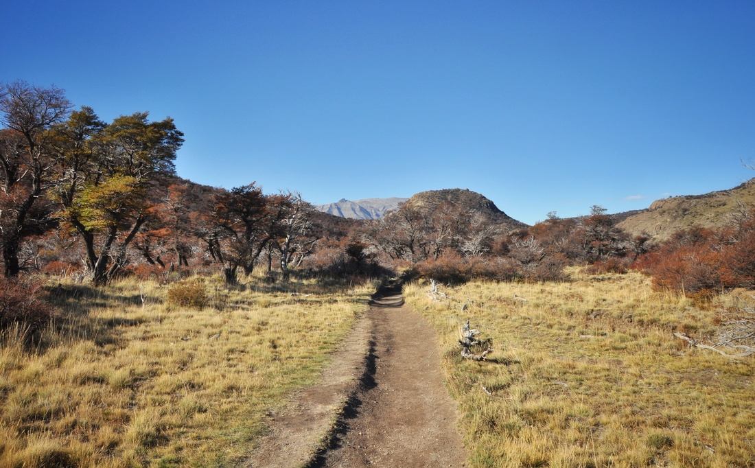 Paysage de Patagonie